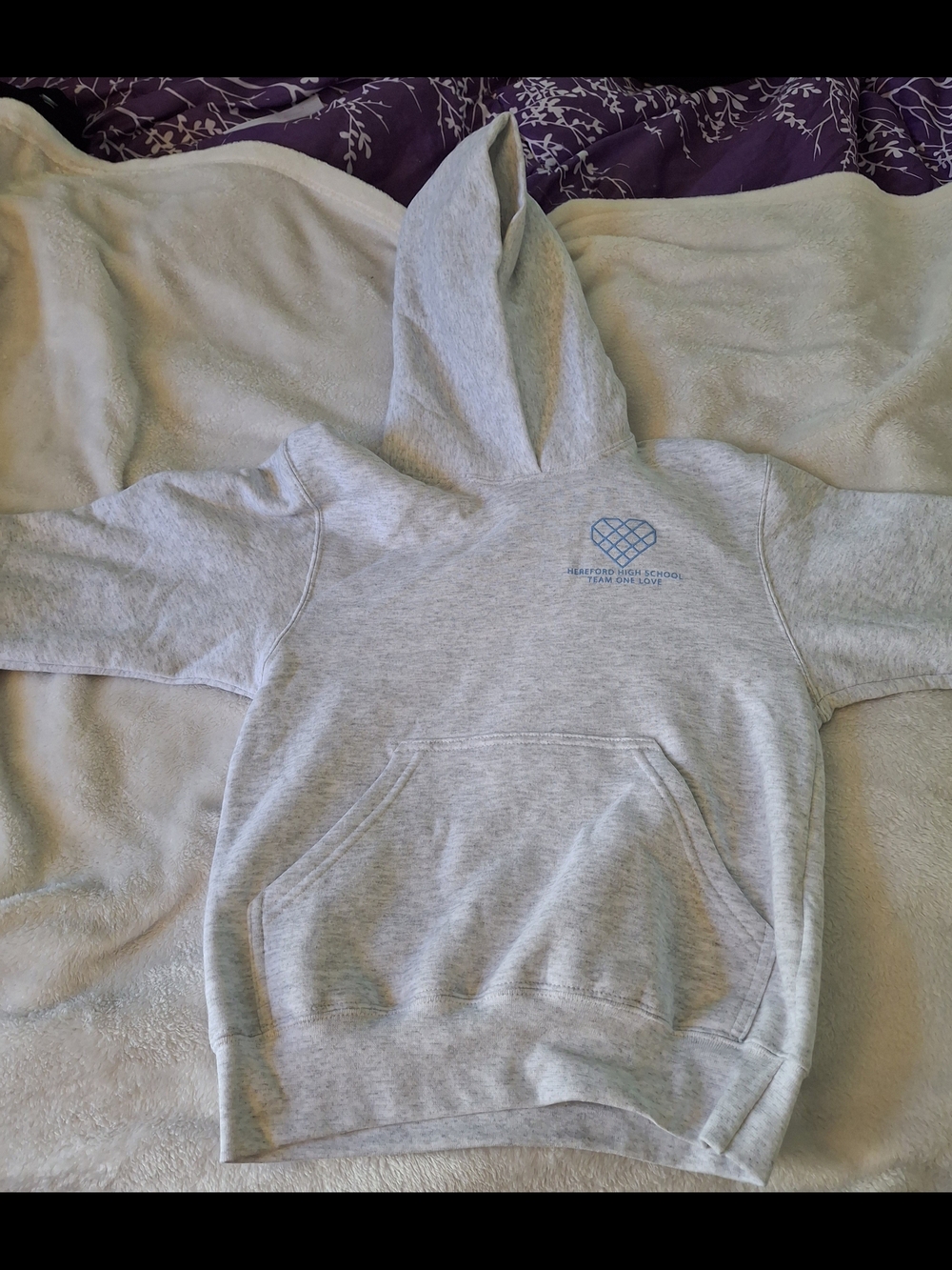 Comfort Colors Light Gray Kids Hoodie with Blue Chest Logo